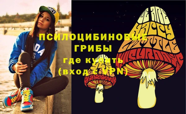 первитин Белоозёрский