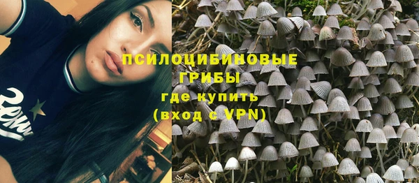 кокаин Белокуриха
