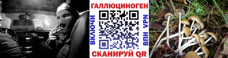 Галлюциногенные грибы мухоморы МЕГА ссылки Володарск